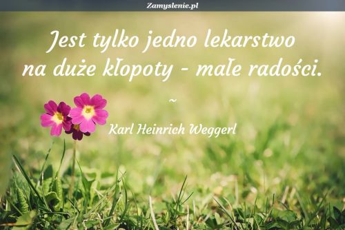 konkurs 