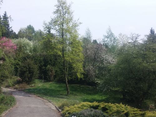 Wirtualna wycieczka do Ogrodu Botanicznego w Lublinie.