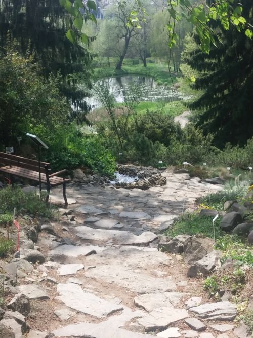 Wirtualna wycieczka do Ogrodu Botanicznego w Lublinie.