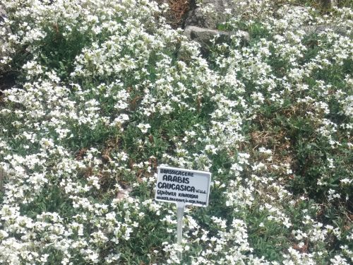 Wirtualna wycieczka do Ogrodu Botanicznego w Lublinie.