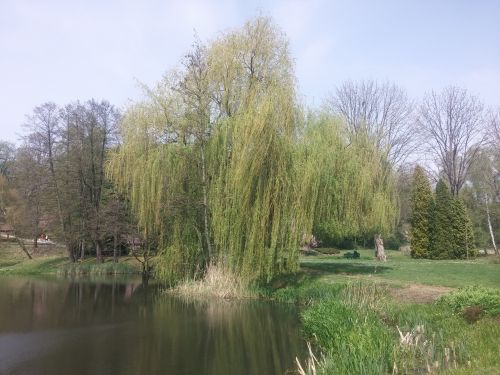 Wirtualna wycieczka do Ogrodu Botanicznego w Lublinie.
