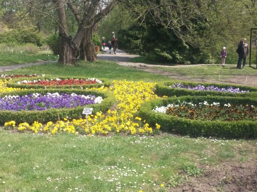 Wirtualna wycieczka do Ogrodu Botanicznego w Lublinie.