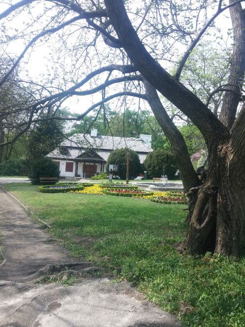 Wirtualna wycieczka do Ogrodu Botanicznego w Lublinie.