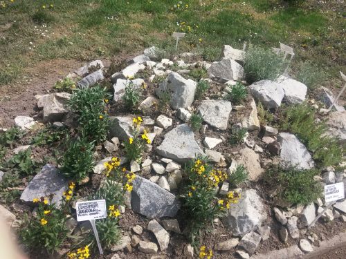 Wirtualna wycieczka do Ogrodu Botanicznego w Lublinie.
