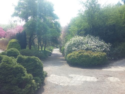 Wirtualna wycieczka do Ogrodu Botanicznego w Lublinie.