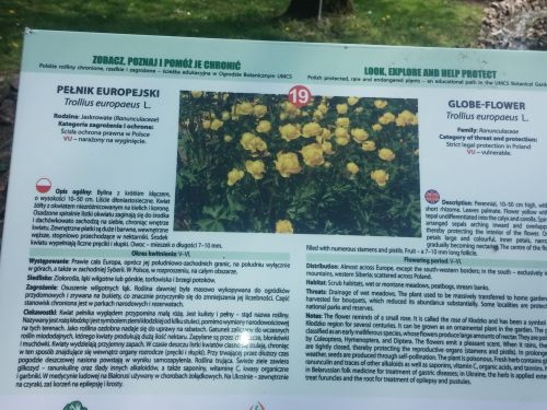 Wirtualna wycieczka do Ogrodu Botanicznego w Lublinie.