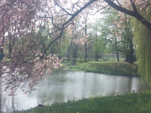 Wirtualna wycieczka do Ogrodu Botanicznego w Lublinie.