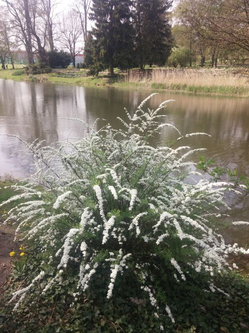 Wirtualna wycieczka do Ogrodu Botanicznego w Lublinie.
