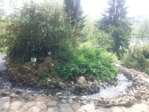 Wirtualna wycieczka do Ogrodu Botanicznego w Lublinie.