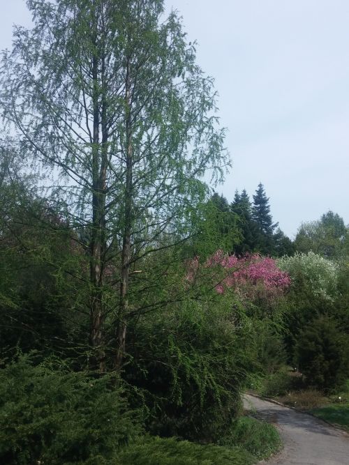 Wirtualna wycieczka do Ogrodu Botanicznego w Lublinie.
