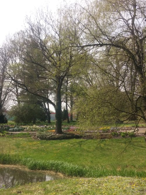 Wirtualna wycieczka do Ogrodu Botanicznego w Lublinie.
