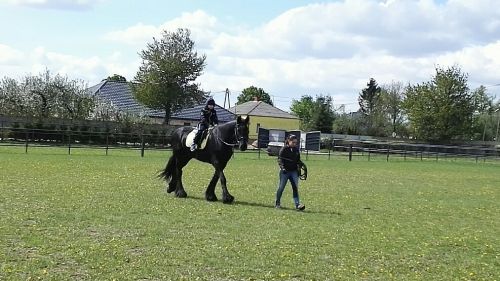 majówka