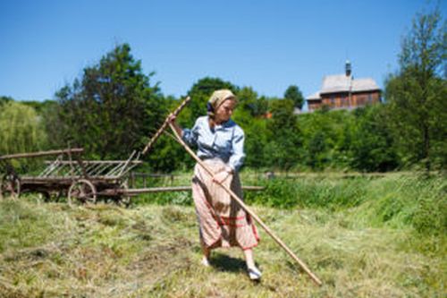 Muzeum Wsi Lubelskiej