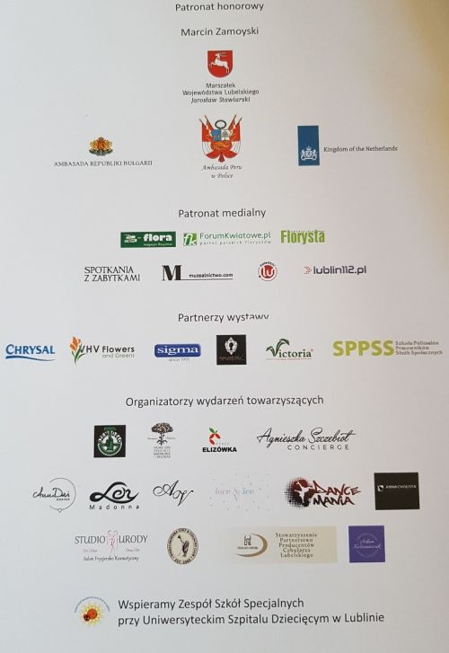 Wyjątkowy pokaz mody 
