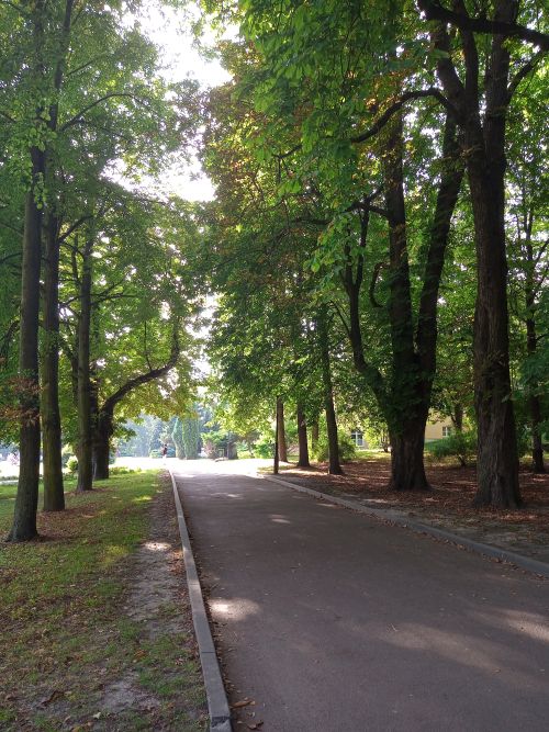 Dzień Krajobrazu 2020