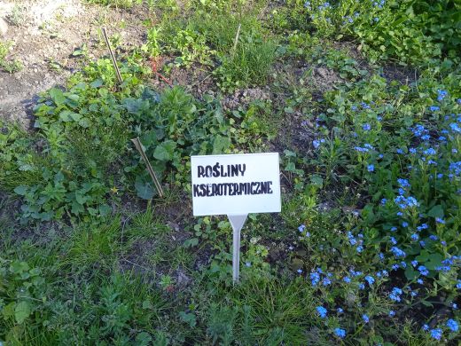 Wirtualny spacer po Ogrodzie Botanicznym