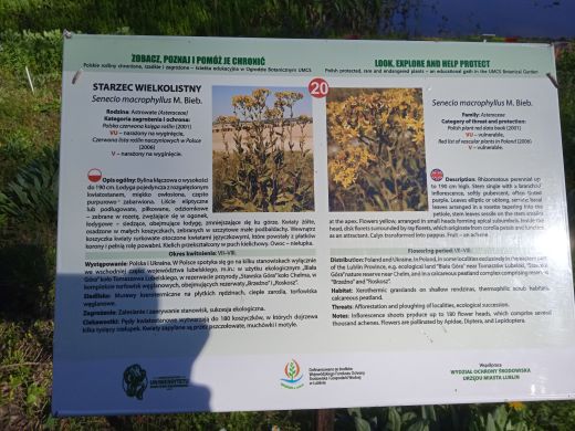 Wirtualny spacer po Ogrodzie Botanicznym