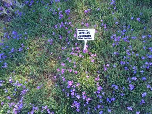 Wirtualny spacer po Ogrodzie Botanicznym