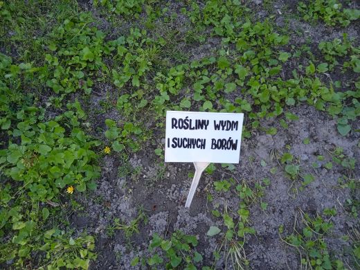 Wirtualny spacer po Ogrodzie Botanicznym