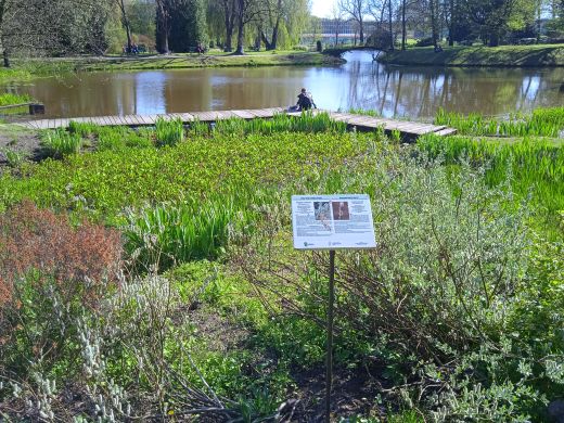 Wirtualny spacer po Ogrodzie Botanicznym