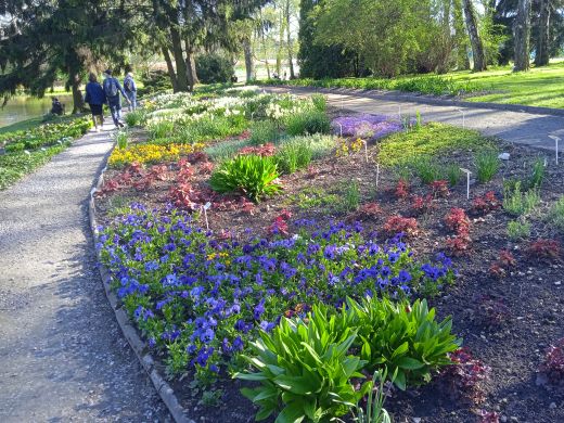 Wirtualny spacer po Ogrodzie Botanicznym