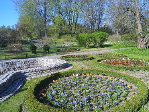 Wirtualny spacer po Ogrodzie Botanicznym