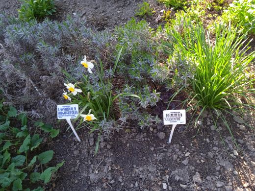 Wirtualny spacer po Ogrodzie Botanicznym