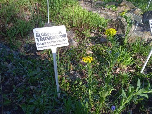 Wirtualny spacer po Ogrodzie Botanicznym