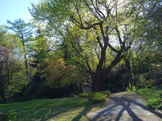Wirtualny spacer po Ogrodzie Botanicznym