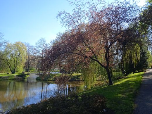 Wirtualny spacer po Ogrodzie Botanicznym