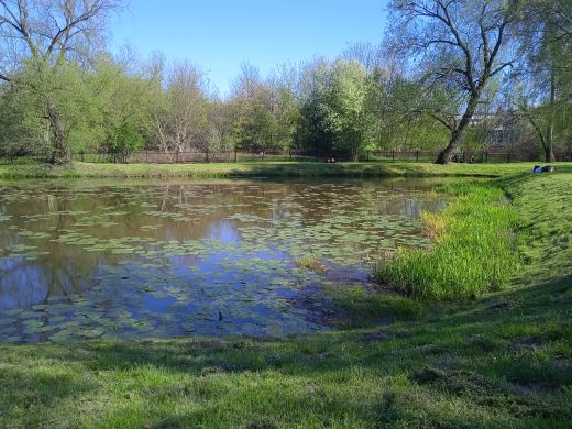 Wirtualny spacer po Ogrodzie Botanicznym