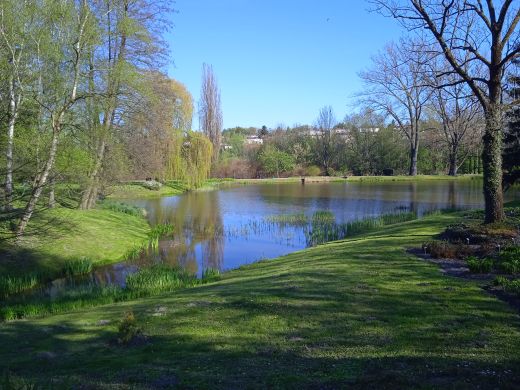 Wirtualny spacer po Ogrodzie Botanicznym