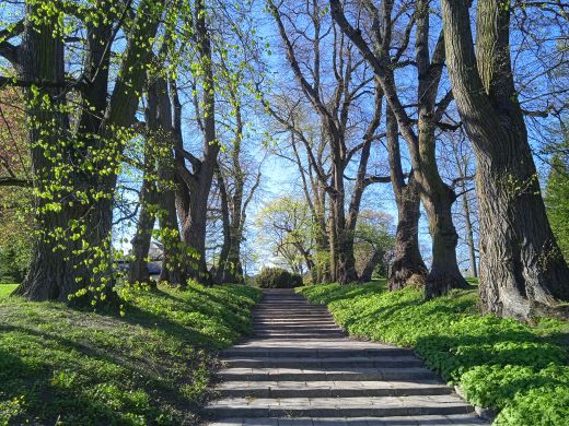 Wirtualny spacer po Ogrodzie Botanicznym