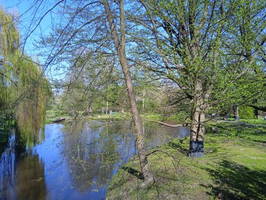 Wirtualny spacer po Ogrodzie Botanicznym