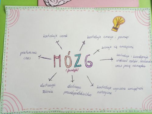 Światowy Tydzień Mózgu 2021 – akcja edukacyjna