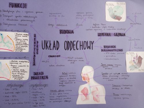 Światowy Tydzień Mózgu 2021 – akcja edukacyjna