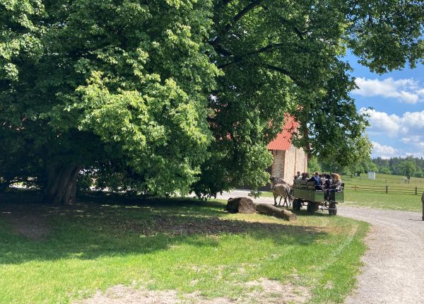 Wycieczka do Roztoczańskiego Parku Narodowego