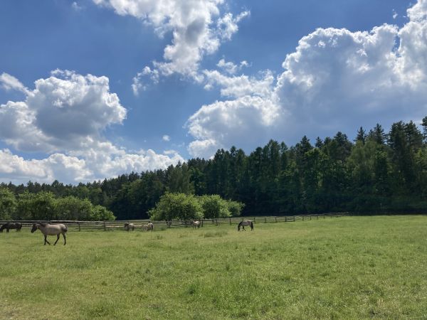 Wycieczka do Roztoczańskiego Parku Narodowego