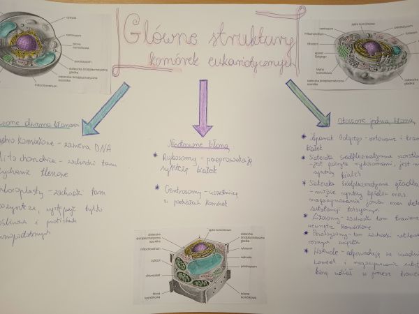 Bio – chemiczne sketchnotki