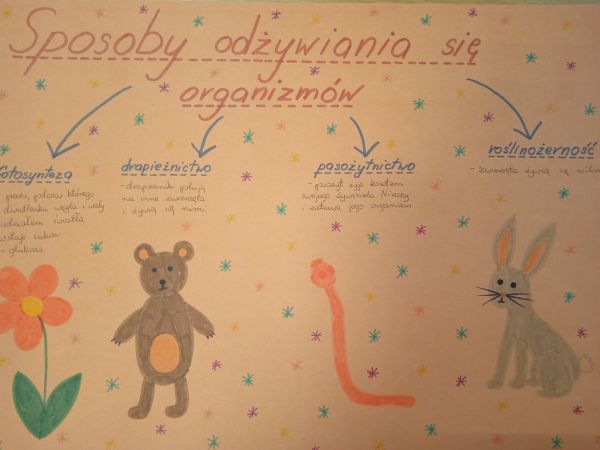 Bio – chemiczne sketchnotki