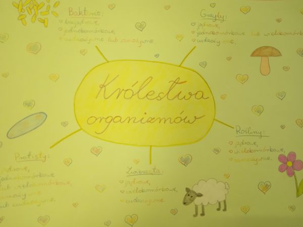 Bio – chemiczne sketchnotki